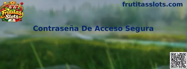 Contraseña De Acceso Segura